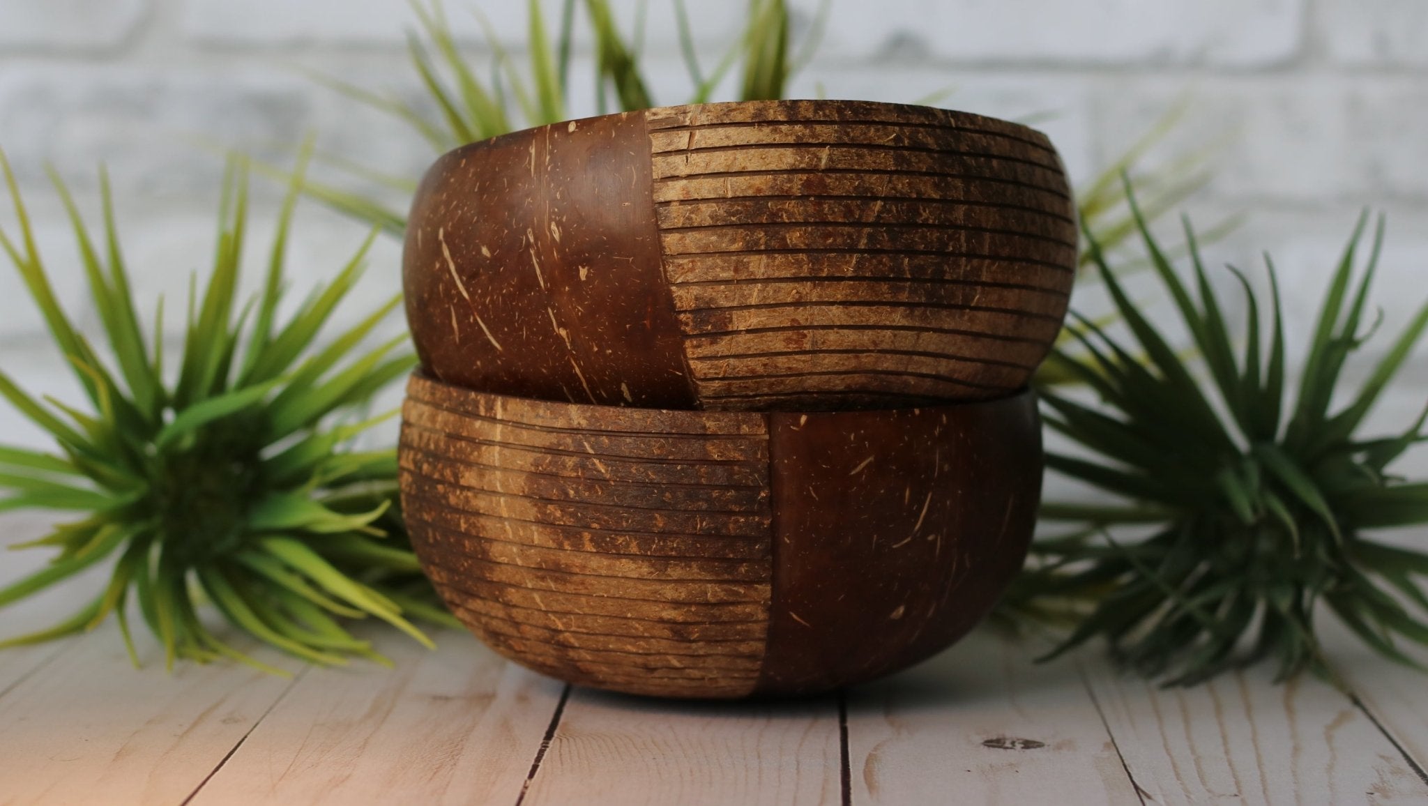 Two Tales | Boho Coconut Bowl